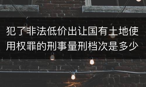 犯了非法低价出让国有土地使用权罪的刑事量刑档次是多少