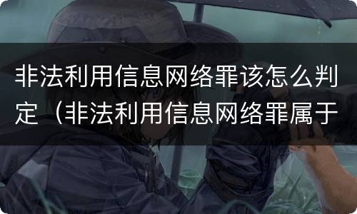 非法利用信息网络罪该怎么判定（非法利用信息网络罪属于什么案件）