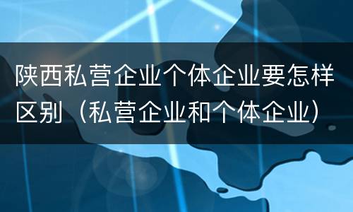 陕西私营企业个体企业要怎样区别（私营企业和个体企业）