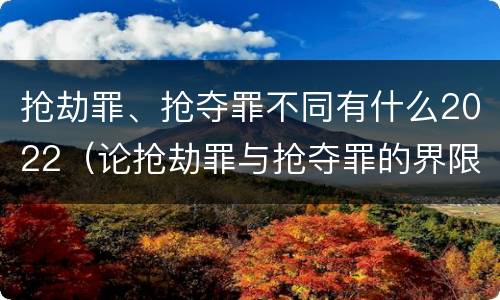 抢劫罪、抢夺罪不同有什么2022（论抢劫罪与抢夺罪的界限）