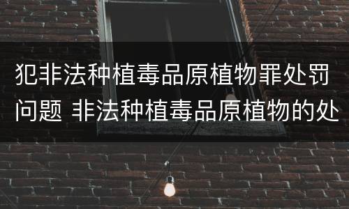 犯非法种植毒品原植物罪处罚问题 非法种植毒品原植物的处罚
