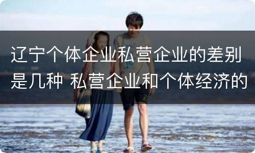 辽宁个体企业私营企业的差别是几种 私营企业和个体经济的区别