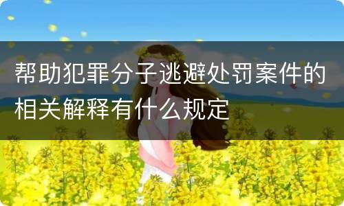 帮助犯罪分子逃避处罚案件的相关解释有什么规定