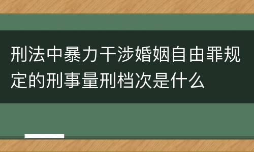 刑法中暴力干涉婚姻自由罪规定的刑事量刑档次是什么