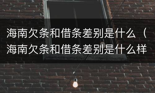 海南欠条和借条差别是什么（海南欠条和借条差别是什么样的）
