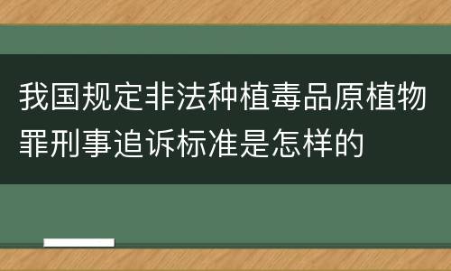 我国规定非法种植毒品原植物罪刑事追诉标准是怎样的
