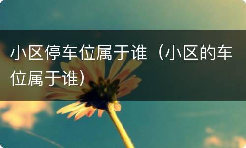 小区停车位属于谁（小区的车位属于谁）