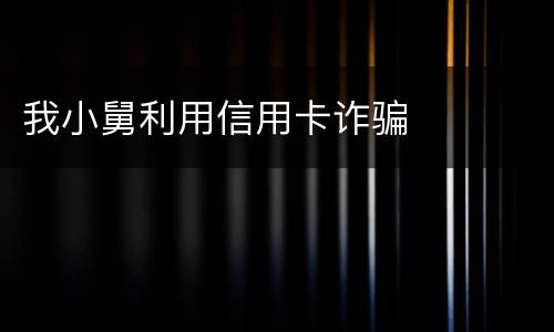 我小舅利用信用卡诈骗
