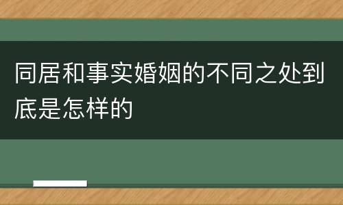 同居和事实婚姻的不同之处到底是怎样的