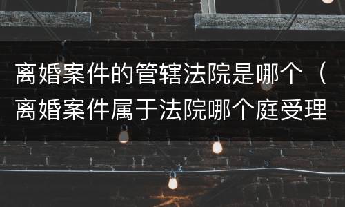 离婚案件的管辖法院是哪个（离婚案件属于法院哪个庭受理）