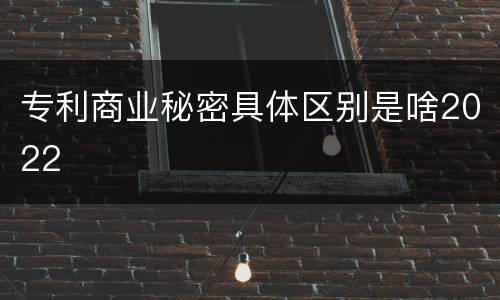 专利商业秘密具体区别是啥2022