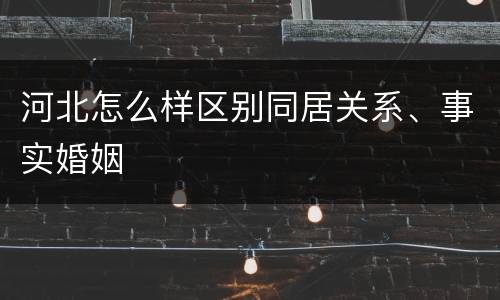 河北怎么样区别同居关系、事实婚姻