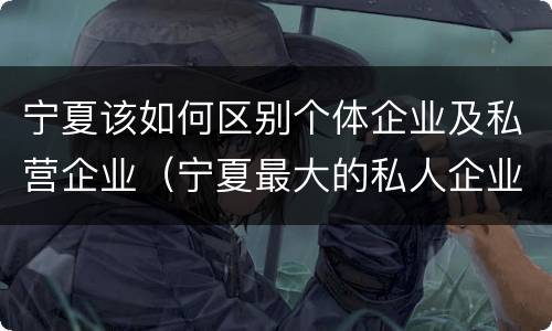 宁夏该如何区别个体企业及私营企业（宁夏最大的私人企业）
