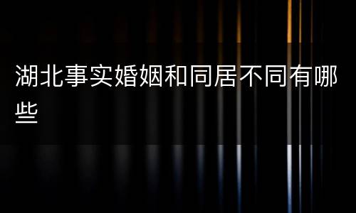 湖北事实婚姻和同居不同有哪些