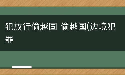 犯放行偷越国 偷越国(边境犯罪