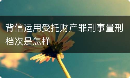 背信运用受托财产罪刑事量刑档次是怎样
