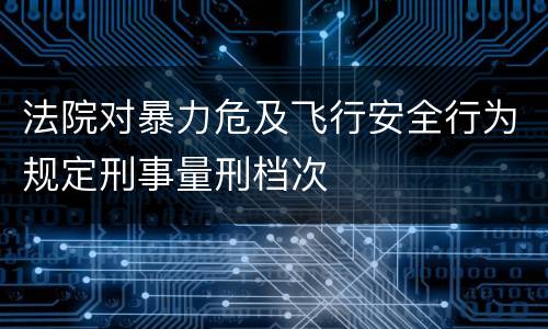 法院对暴力危及飞行安全行为规定刑事量刑档次