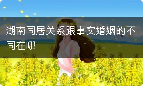 湖南同居关系跟事实婚姻的不同在哪