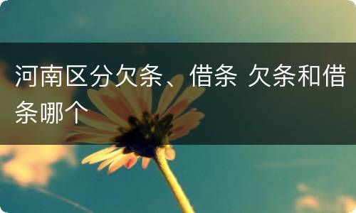 河南区分欠条、借条 欠条和借条哪个