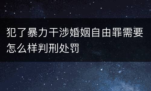犯了暴力干涉婚姻自由罪需要怎么样判刑处罚