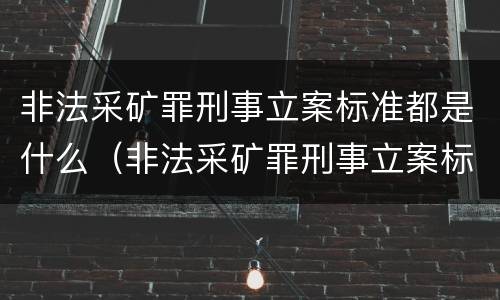 非法采矿罪刑事立案标准都是什么（非法采矿罪刑事立案标准都是什么意思）