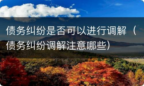 债务纠纷是否可以进行调解（债务纠纷调解注意哪些）