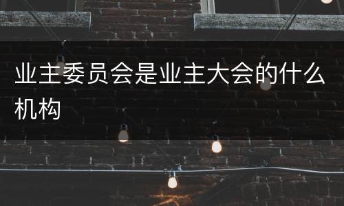 业主委员会是业主大会的什么机构