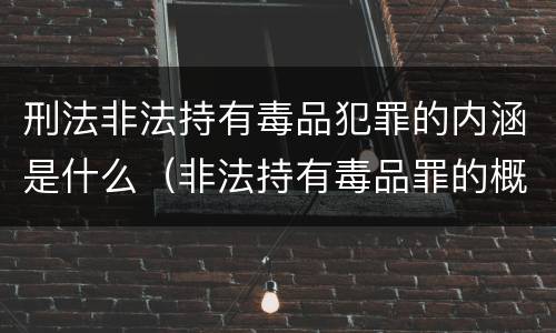 刑法非法持有毒品犯罪的内涵是什么（非法持有毒品罪的概念）