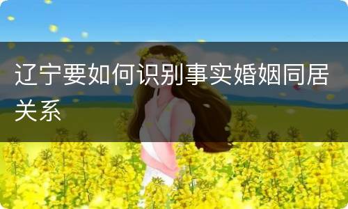 辽宁要如何识别事实婚姻同居关系
