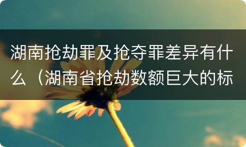 湖南抢劫罪及抢夺罪差异有什么（湖南省抢劫数额巨大的标准）