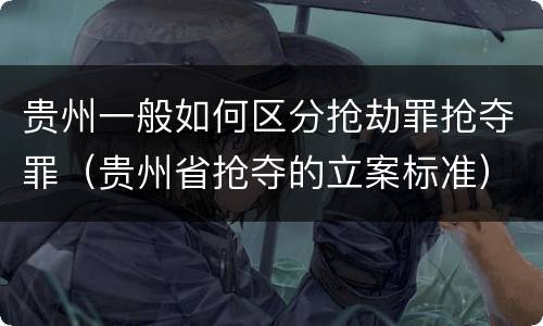 贵州一般如何区分抢劫罪抢夺罪（贵州省抢夺的立案标准）