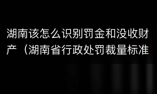 湖南该怎么识别罚金和没收财产（湖南省行政处罚裁量标准）