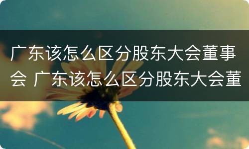 广东该怎么区分股东大会董事会 广东该怎么区分股东大会董事会和董事长