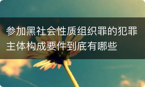 参加黑社会性质组织罪的犯罪主体构成要件到底有哪些