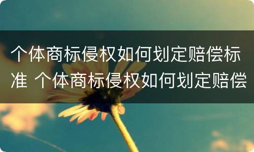 个体商标侵权如何划定赔偿标准 个体商标侵权如何划定赔偿标准