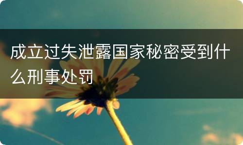 成立过失泄露国家秘密受到什么刑事处罚