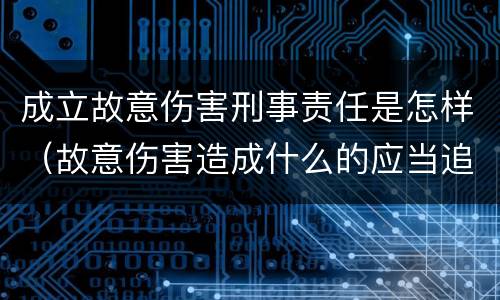 成立故意伤害刑事责任是怎样（故意伤害造成什么的应当追究刑事责任）