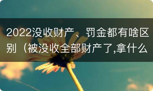 2022没收财产、罚金都有啥区别（被没收全部财产了,拿什么交罚金）