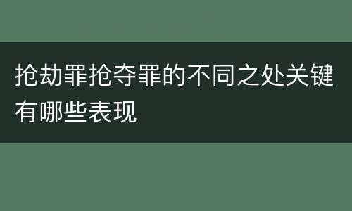 抢劫罪抢夺罪的不同之处关键有哪些表现
