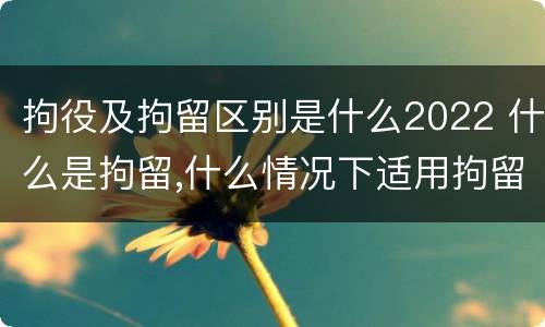 拘役及拘留区别是什么2022 什么是拘留,什么情况下适用拘留