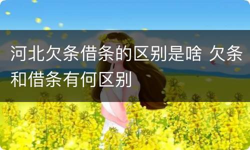河北欠条借条的区别是啥 欠条和借条有何区别