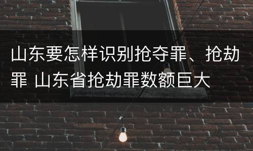 山东要怎样识别抢夺罪、抢劫罪 山东省抢劫罪数额巨大
