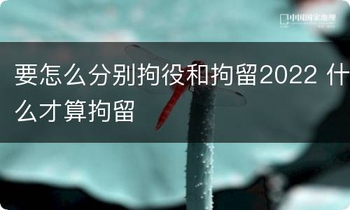 要怎么分别拘役和拘留2022 什么才算拘留
