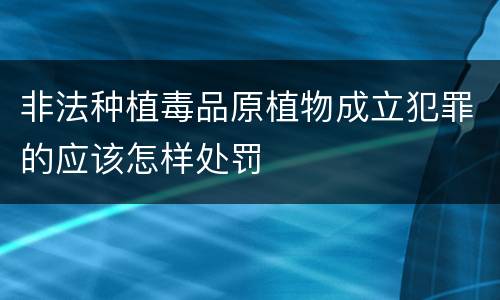 非法种植毒品原植物成立犯罪的应该怎样处罚