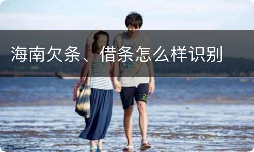 海南欠条、借条怎么样识别