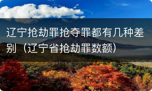 辽宁抢劫罪抢夺罪都有几种差别（辽宁省抢劫罪数额）
