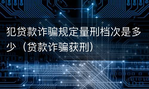 犯贷款诈骗规定量刑档次是多少（贷款诈骗获刑）