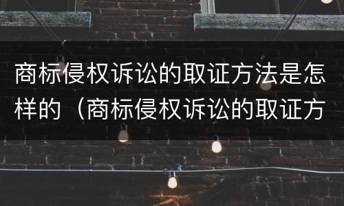 商标侵权诉讼的取证方法是怎样的（商标侵权诉讼的取证方法是怎样的呢）