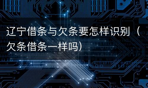 辽宁借条与欠条要怎样识别（欠条借条一样吗）