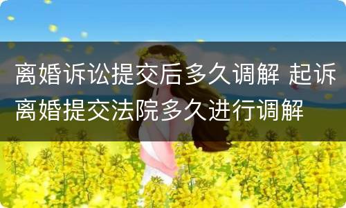 离婚诉讼提交后多久调解 起诉离婚提交法院多久进行调解